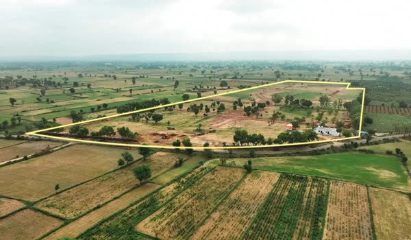 Agricultural Land